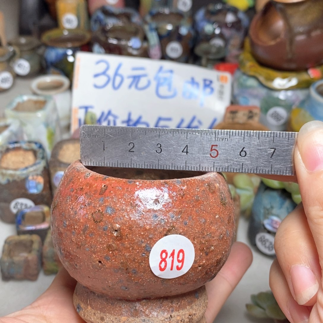 拍三送一9.9拍5送一送同款