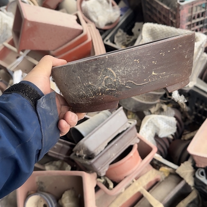 在这里可以看的了的是一片绿色海