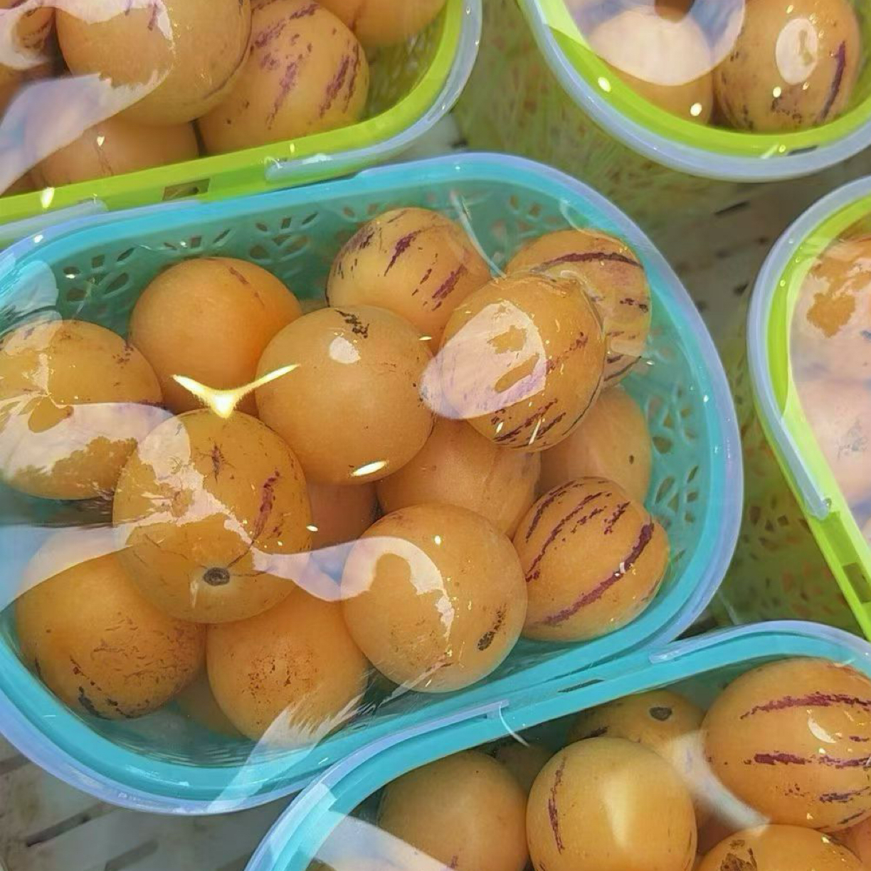 人参果篮装浙江省