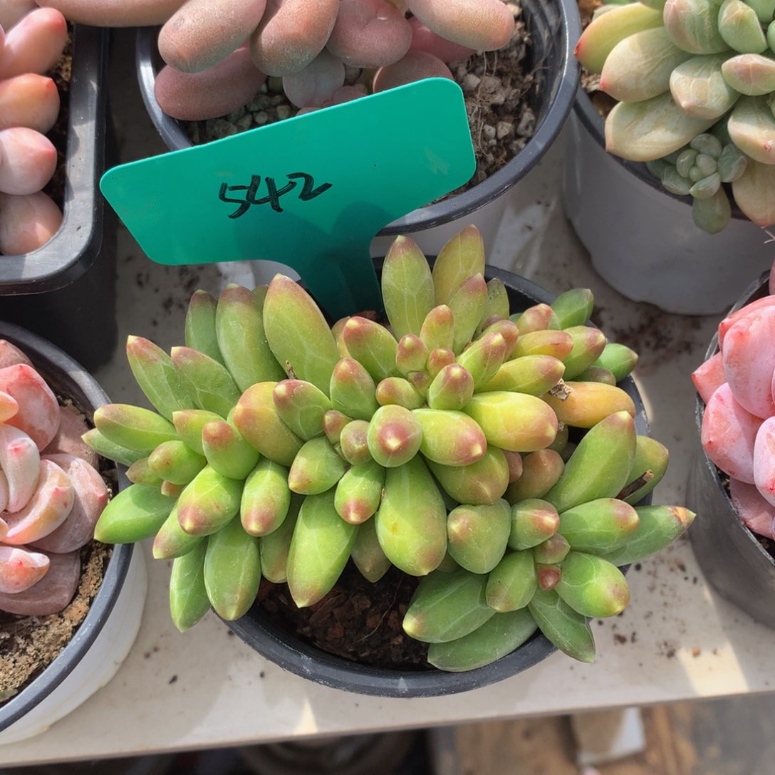 千代田727277273723773