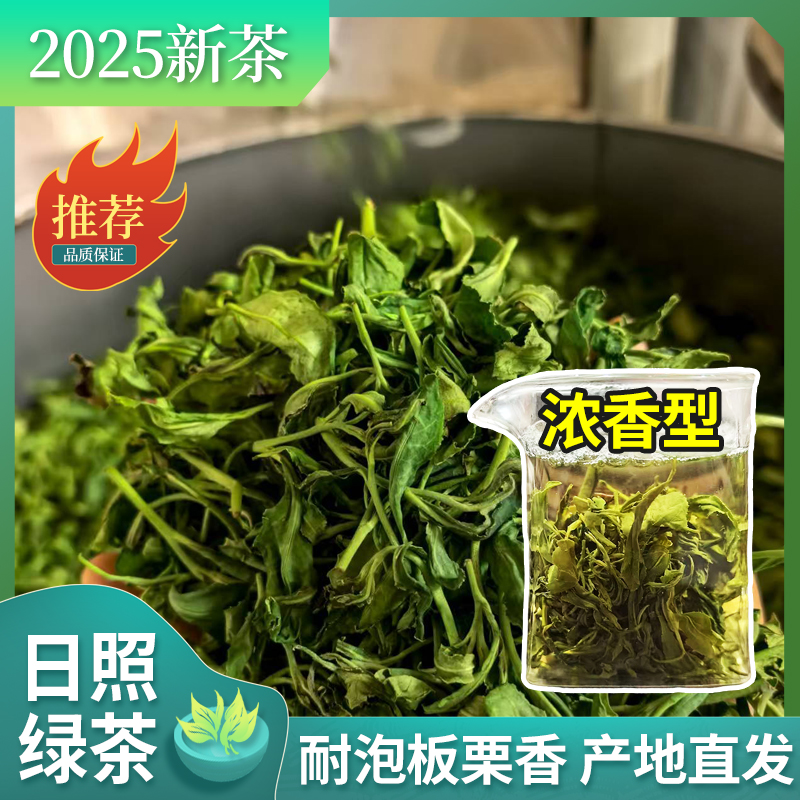 【2025新茶】正宗日照茉莉绿茶高山浓香板栗香滋味足耐冲泡回甘