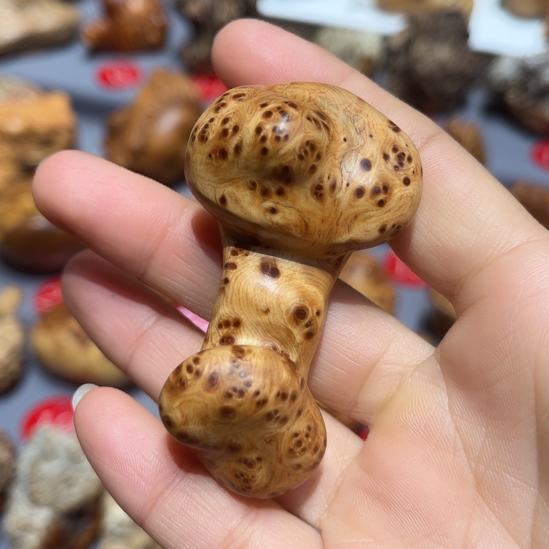 蔡***空太行崖柏陈华手把玩