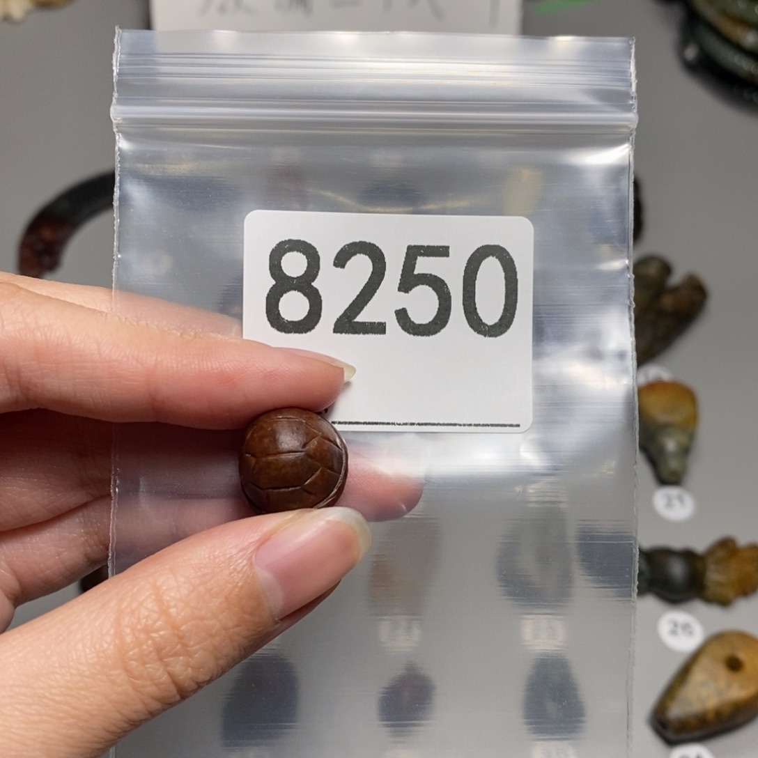 颈饰未镶嵌透闪石质玉清*