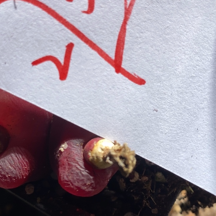 27343一组一组一组