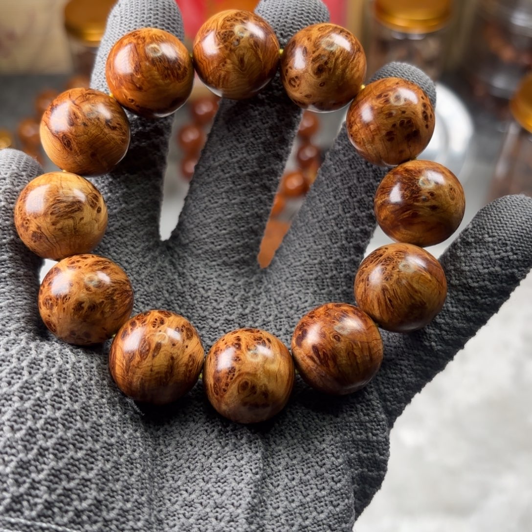 柏木（崖柏）太行崖柏2.0变异瘤疤