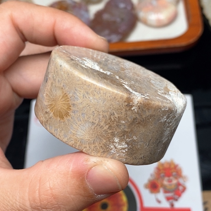 硅化珊瑚（珊瑚玉）手镯未镶嵌