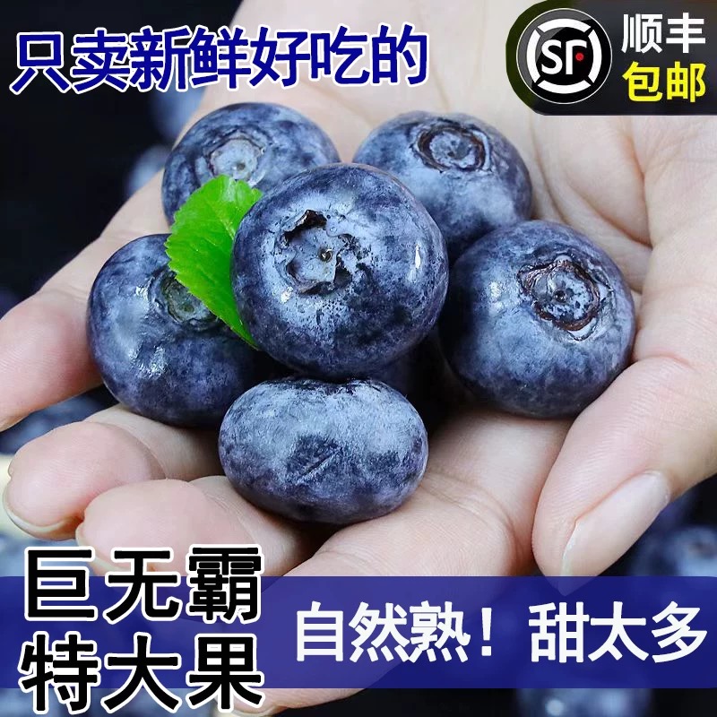 【京东次日达】云南花香蓝莓【买一斤送半斤粉丝多送2盒】新鲜水果22mm-18mm云南省