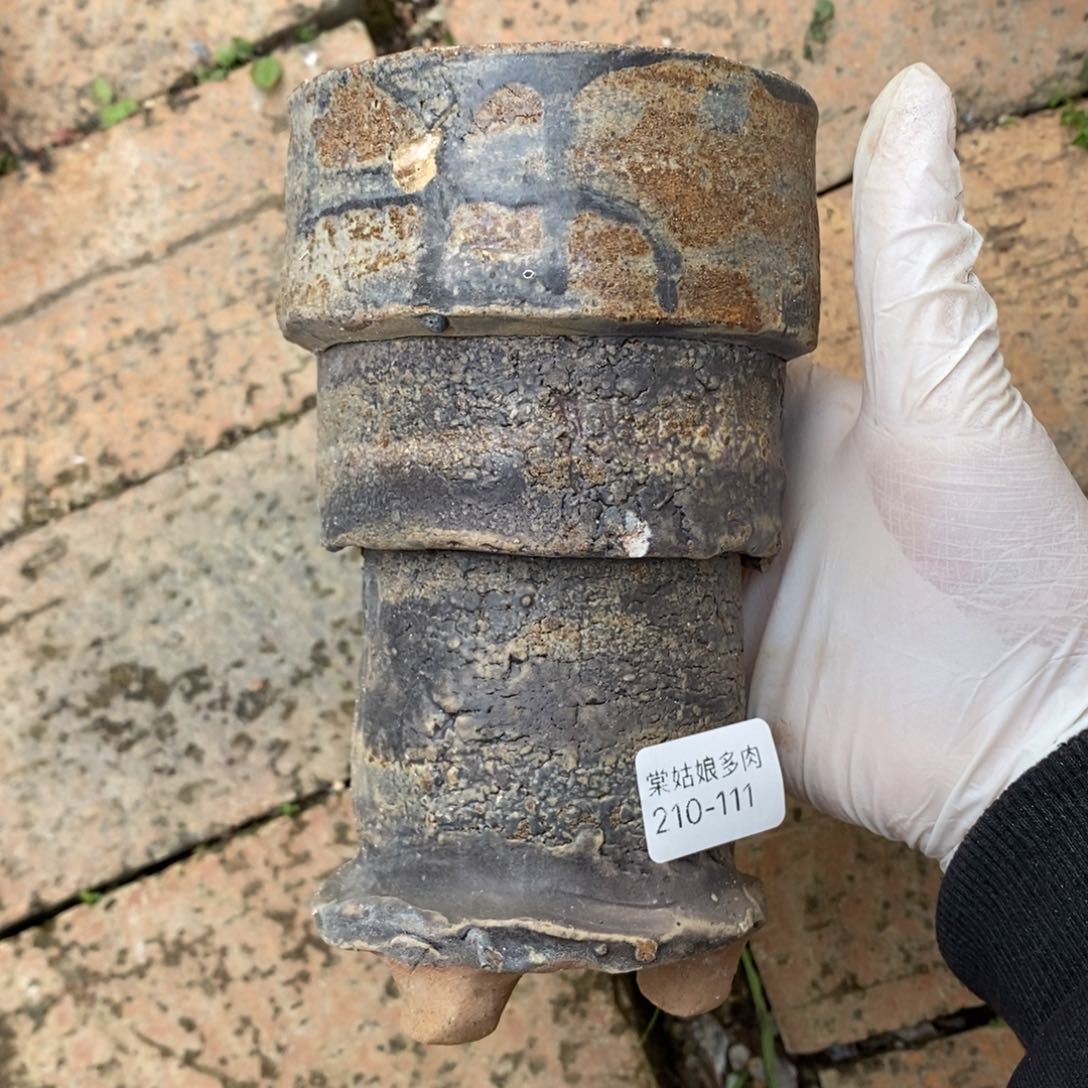 111号多肉盆一个呀