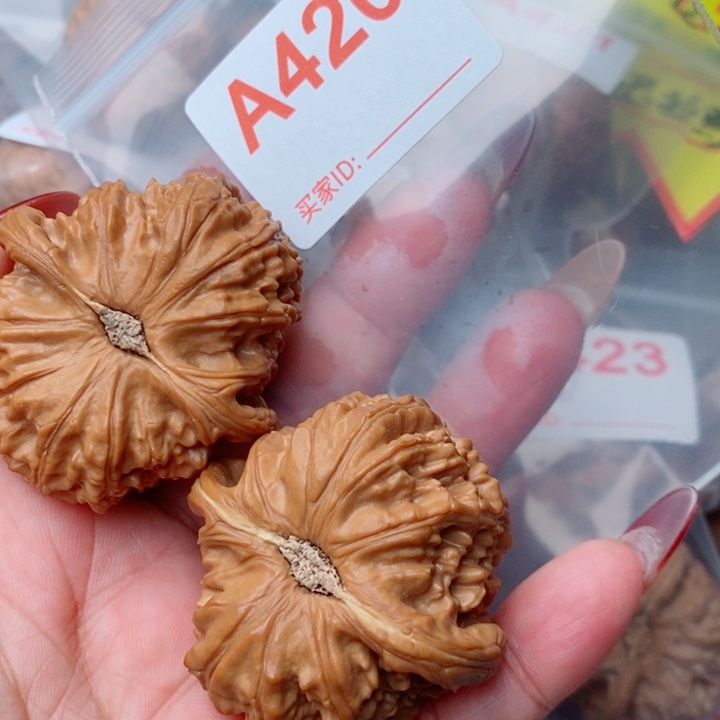 核桃把件白狮子420号46尺