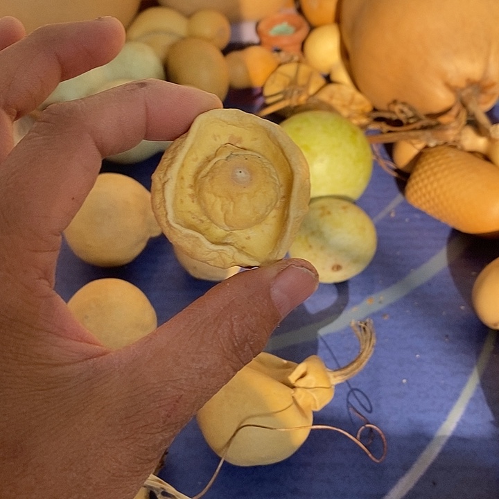 m***5抽葫芦手把件葫芦葫芦