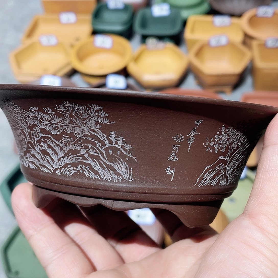 紫砂小盆12*4微瑕小盆