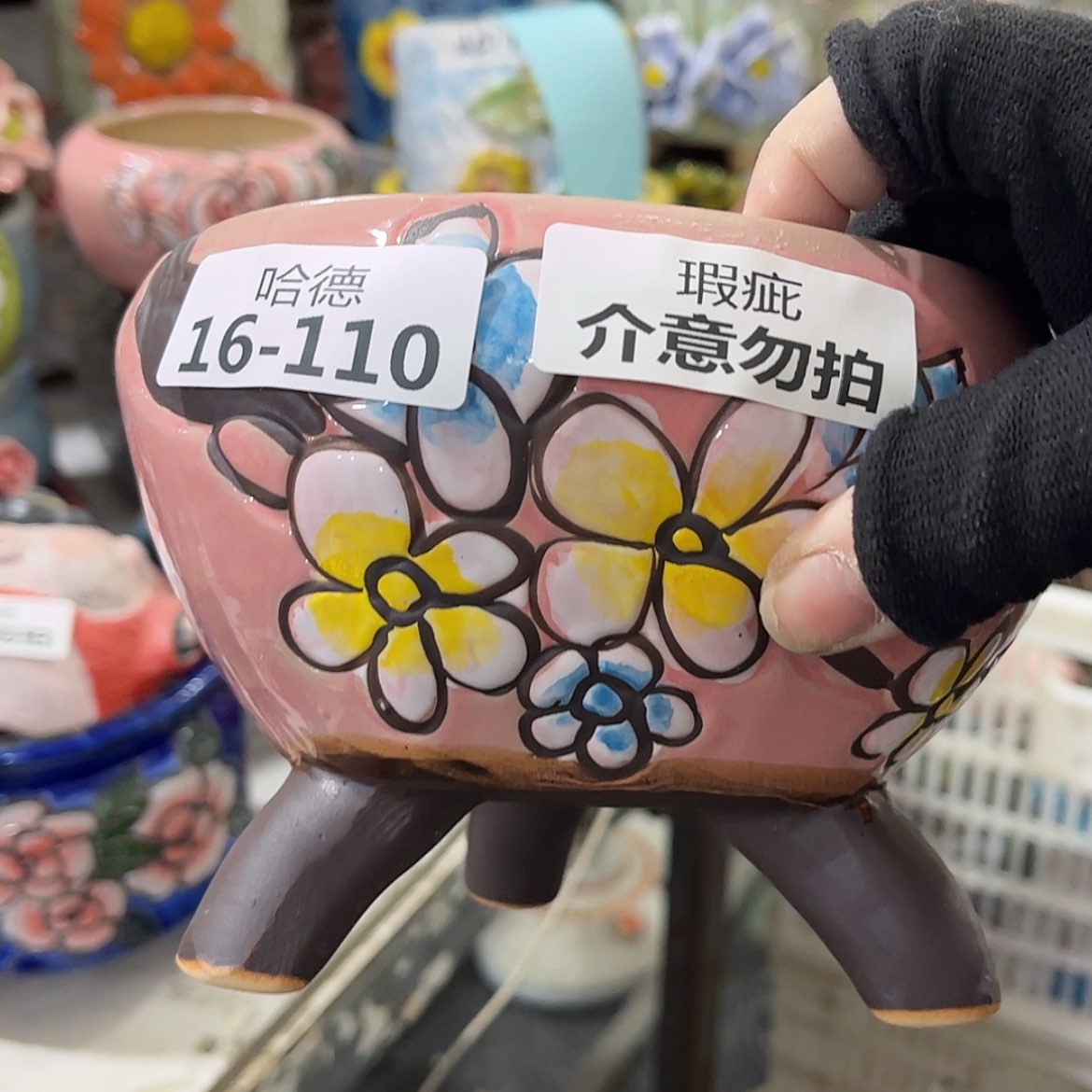 【闪购商品】红陶福利