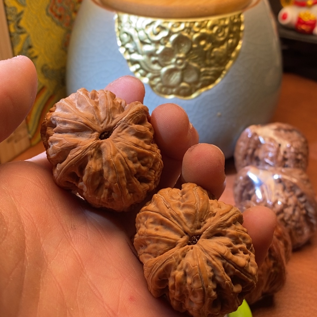 好不不不不不过一样