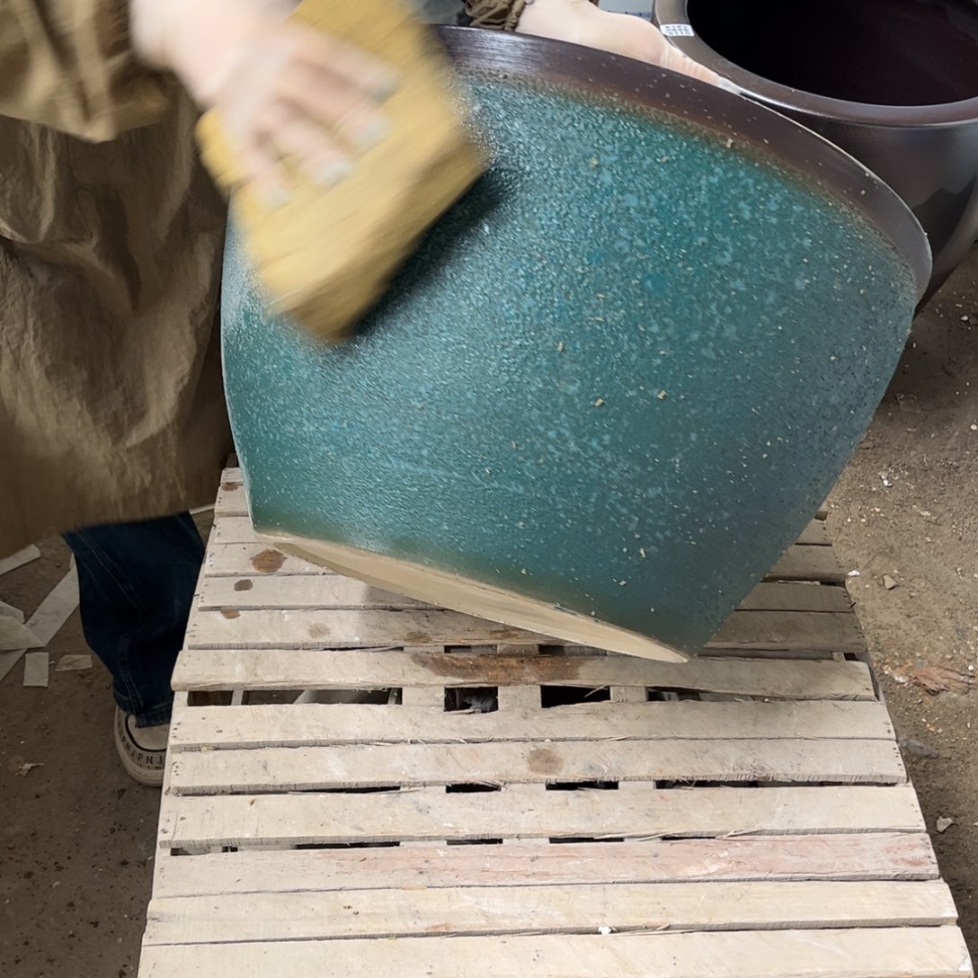 瓷片兰泡52.8888888888