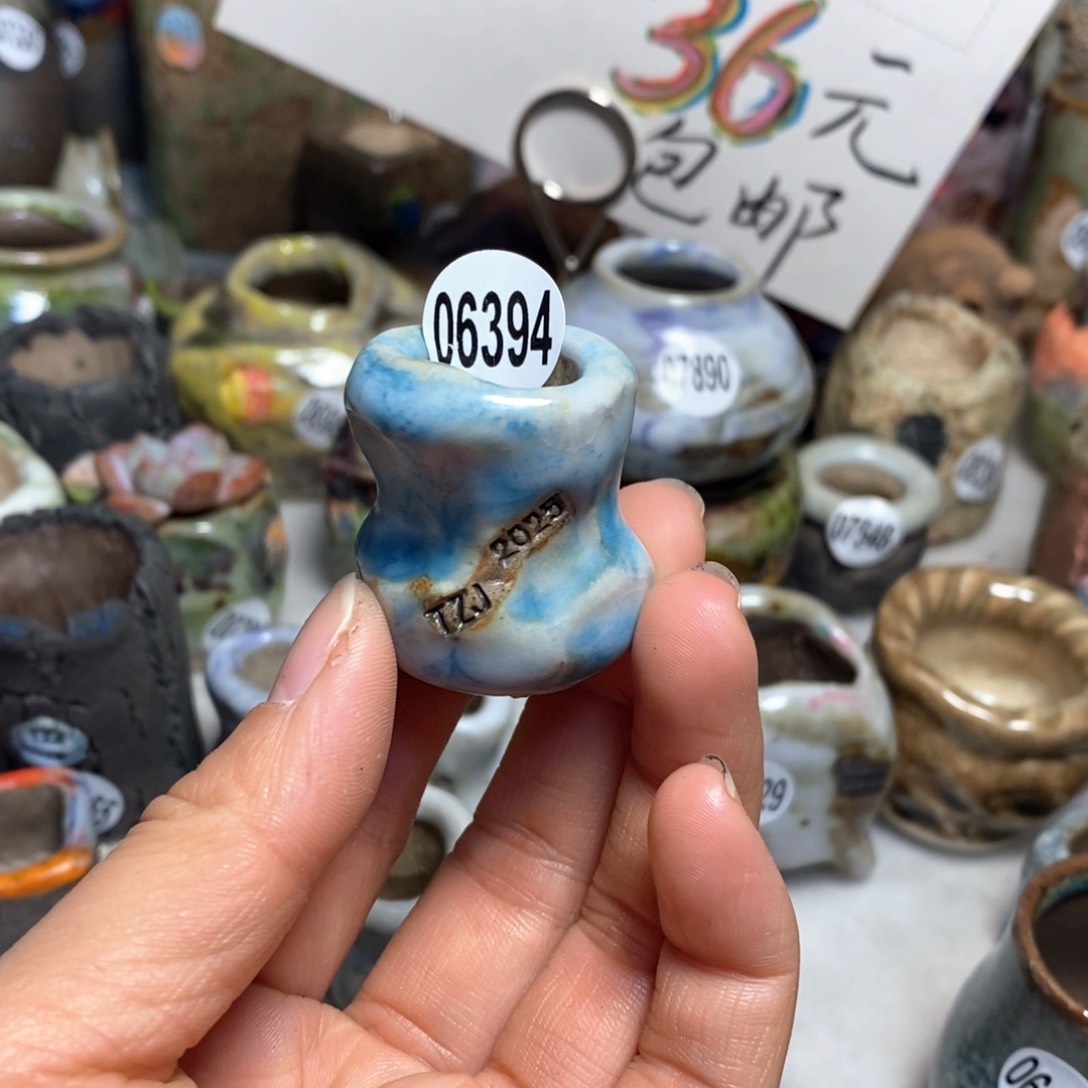 刘*菡花盆拍5送一个小礼物