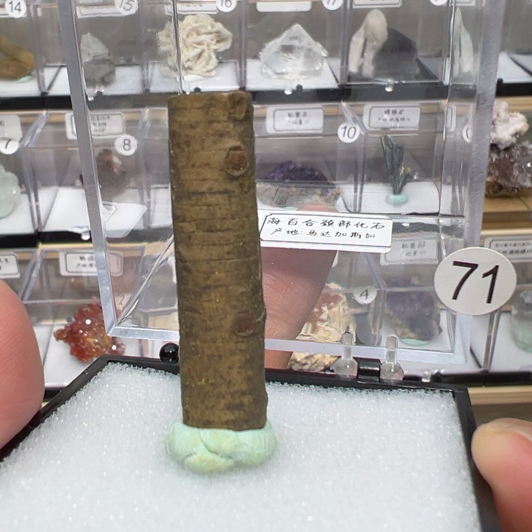 紫晶大型摆件（非配饰）银S925镶嵌
