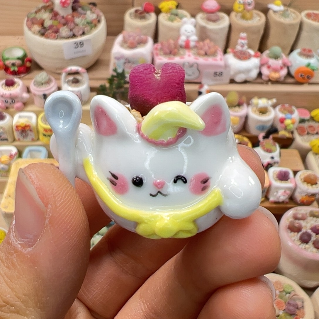 多肉植物101号拇指盆