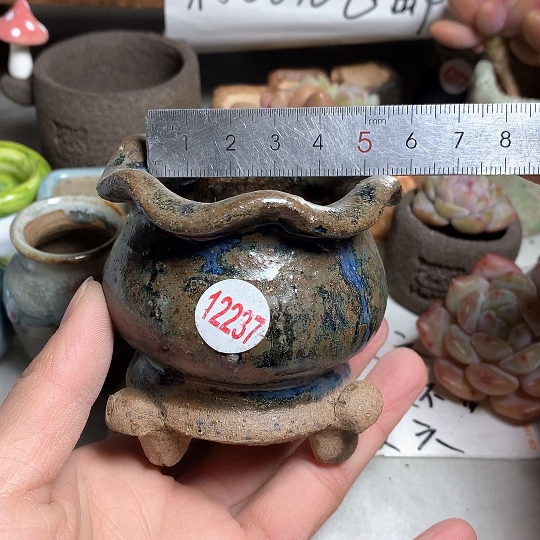 红陶拍5送一个小