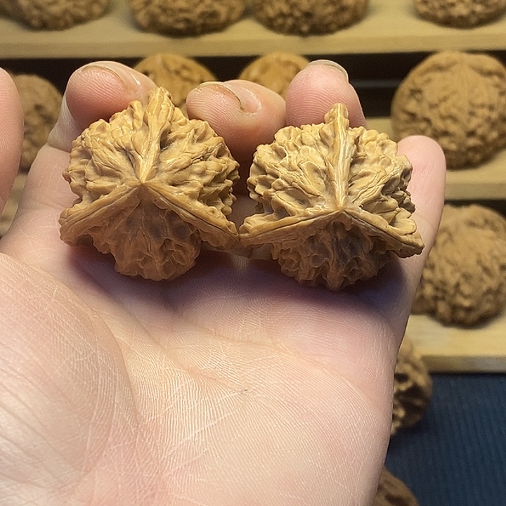 核桃35盘山正奔核桃