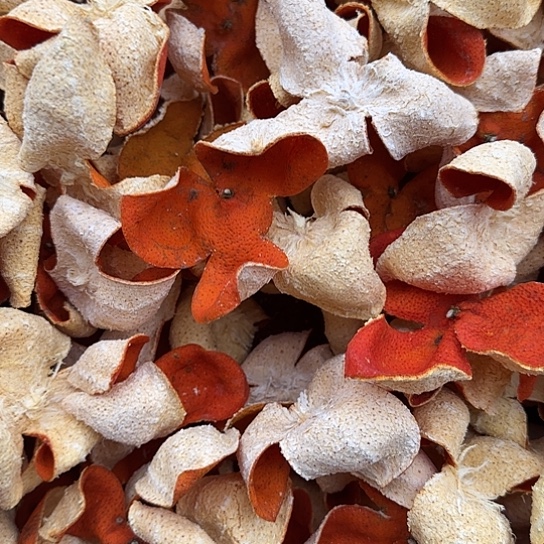 柑橘农家自晒川红橘皮1斤净重带花癍带麻点不好看慎拍