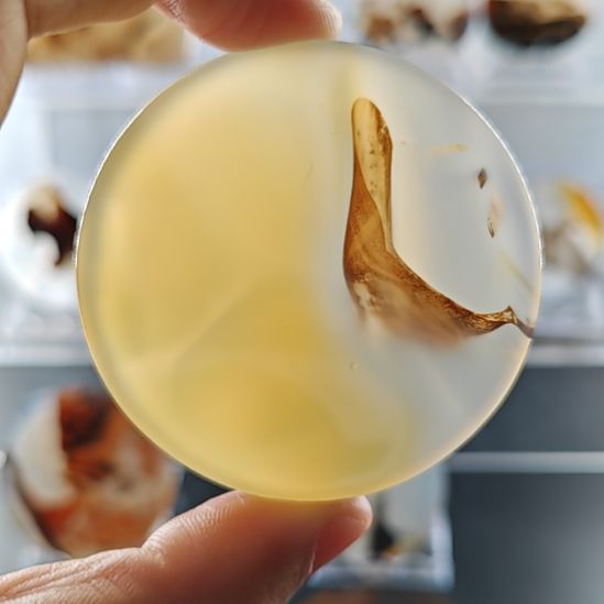 玛瑙/玉髓吊坠(不含链)未镶嵌