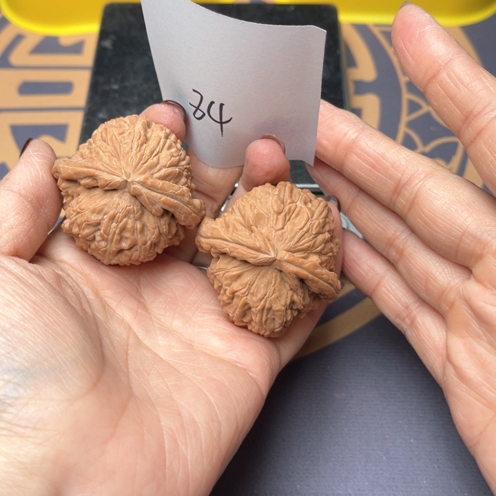 文玩核桃把件42白狮子