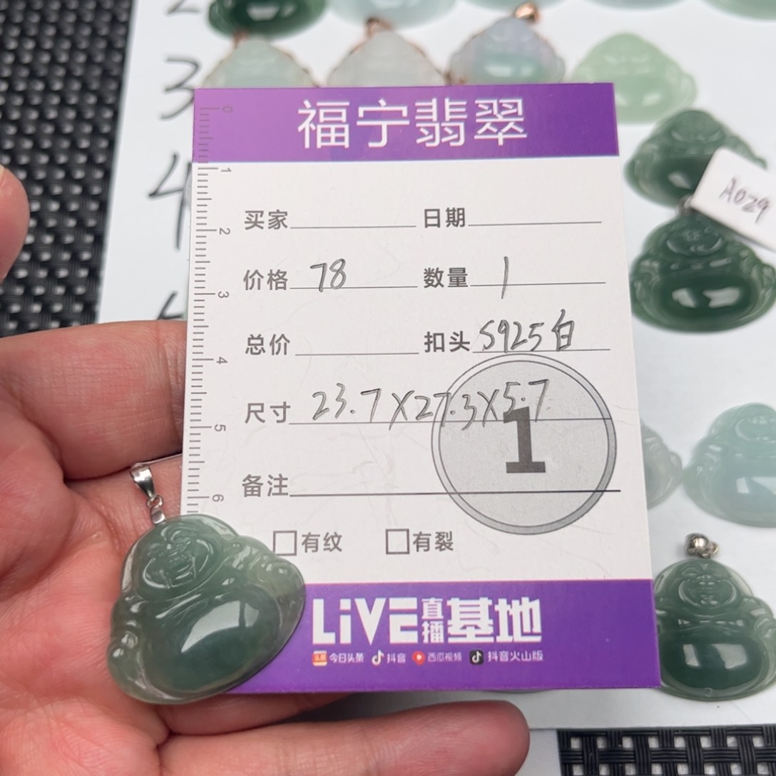 翡翠颈饰未镶嵌吊坠