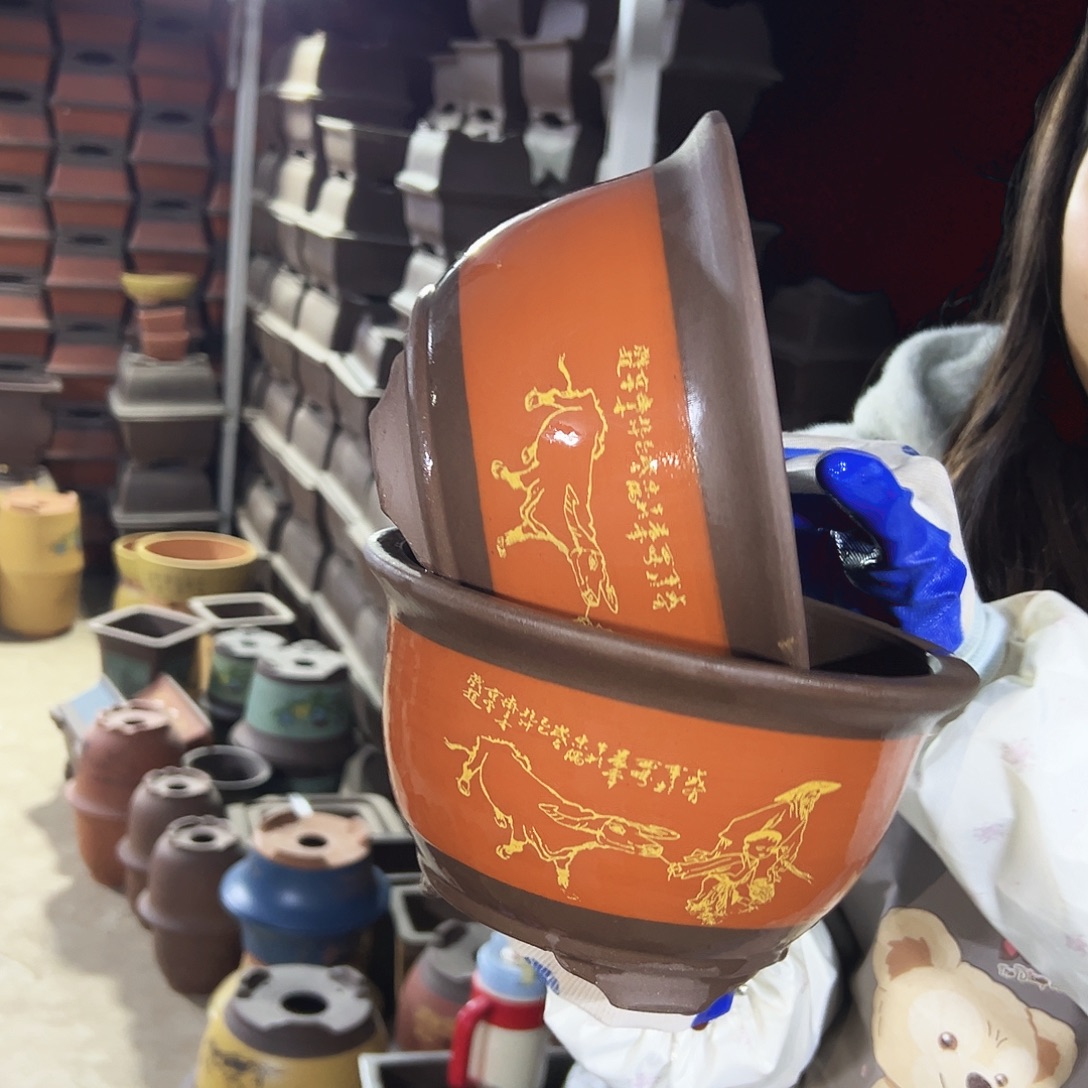 17+17红色放牛娃三角金钟