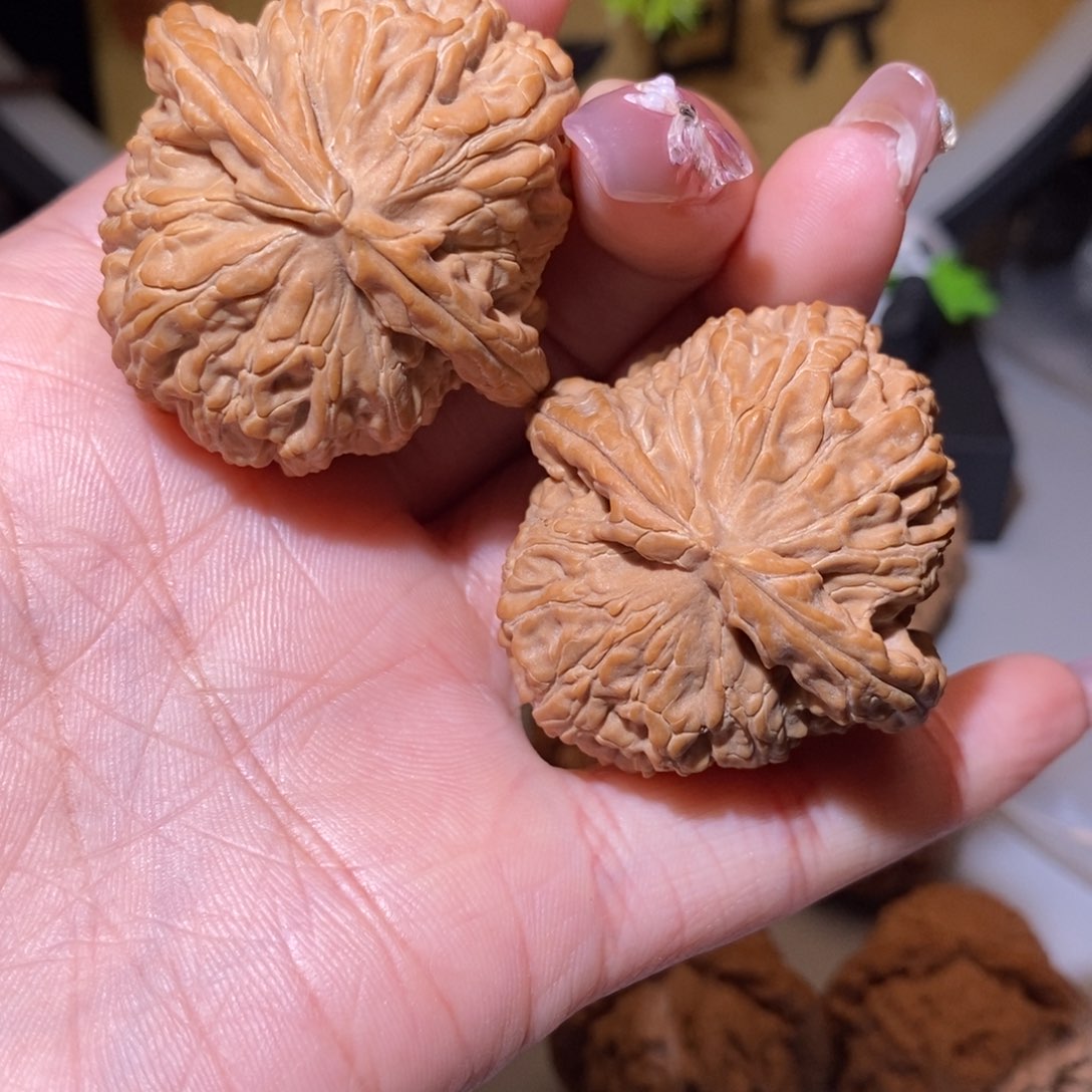 核桃手串/手链空**兰40尺全品白狮子