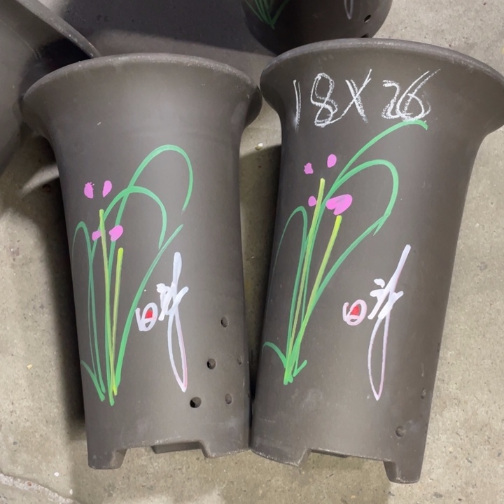 紫砂紫砂紫砂紫砂 