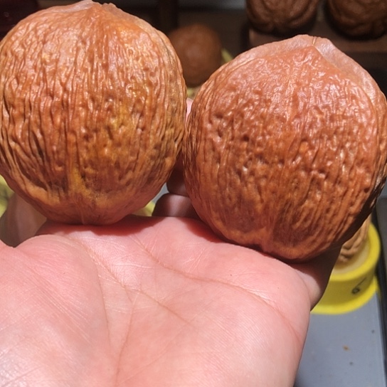 文玩核桃把件9**.七彩雷公橄榄