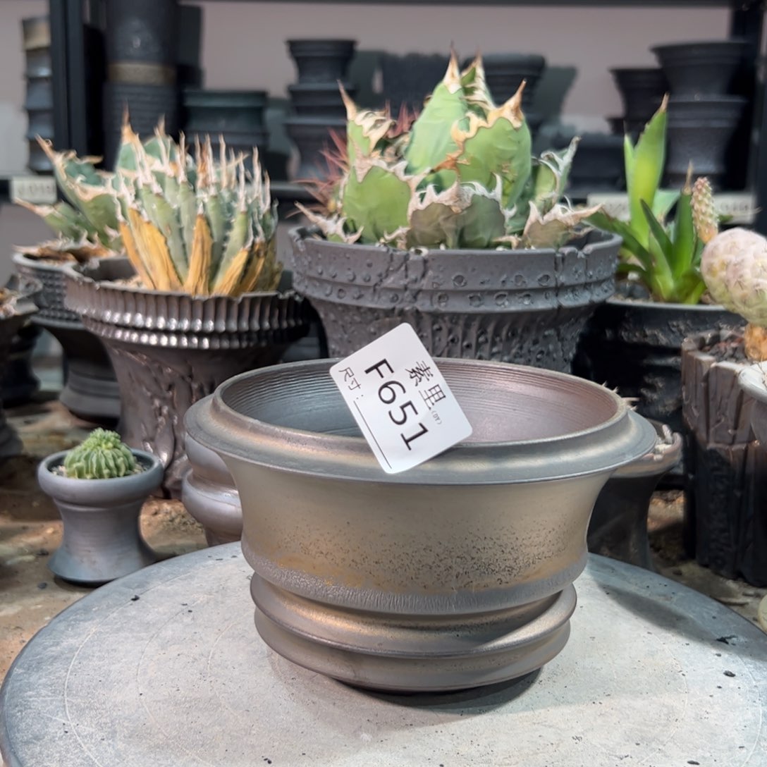 景德镇手工素里内口14.5高10