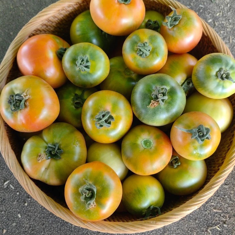 【凯涛甄选】草莓宝宝果5斤京东或顺丰包邮