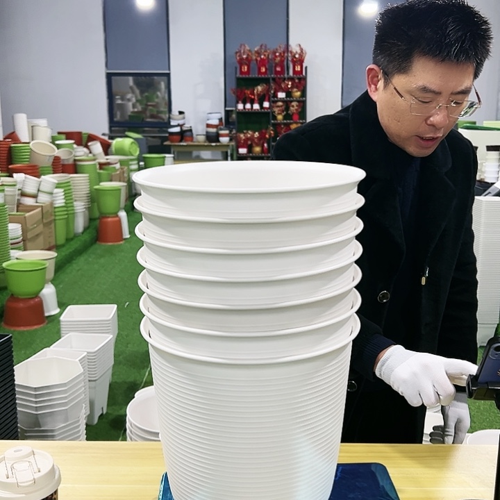 正品高陶口27高27白色4只无托