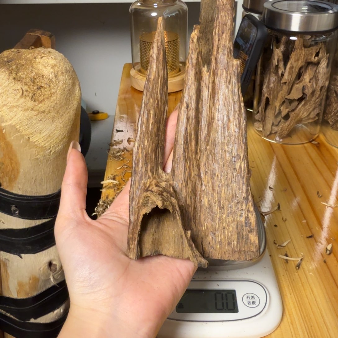 清***河沉香海南天然野红土香28克