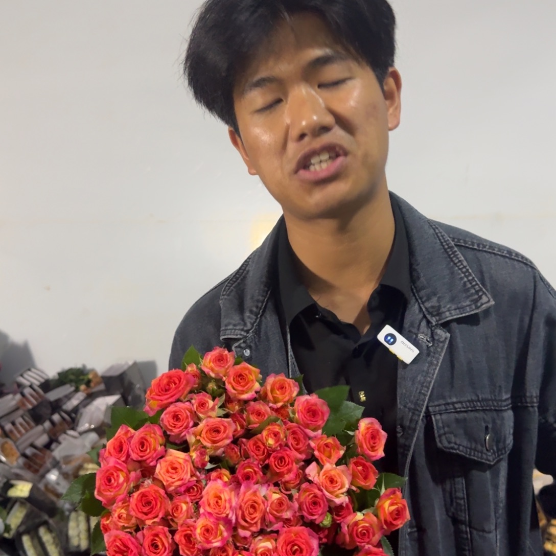 爱丽丝2扎包邮价秒杀