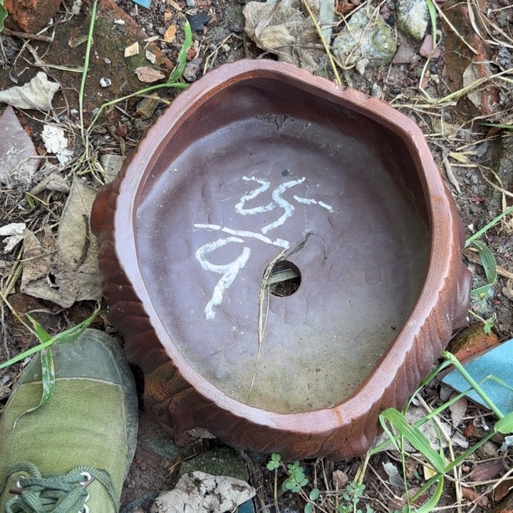 紫砂花盆紫砂的花