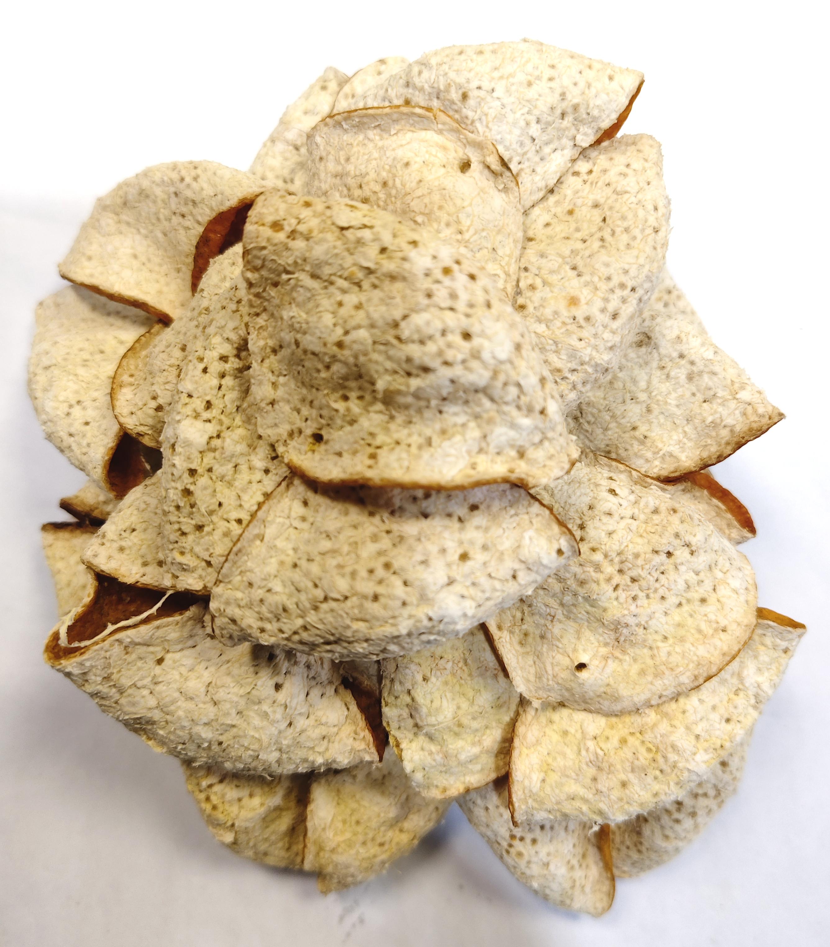 广东新会陈皮，双水圈枝大红折花2025年陈皮代用茶