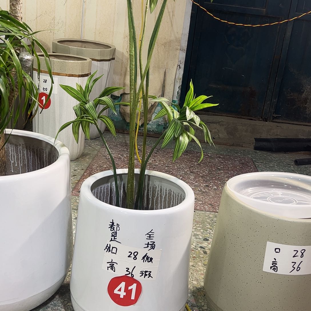 陶瓷陶瓷大花盆