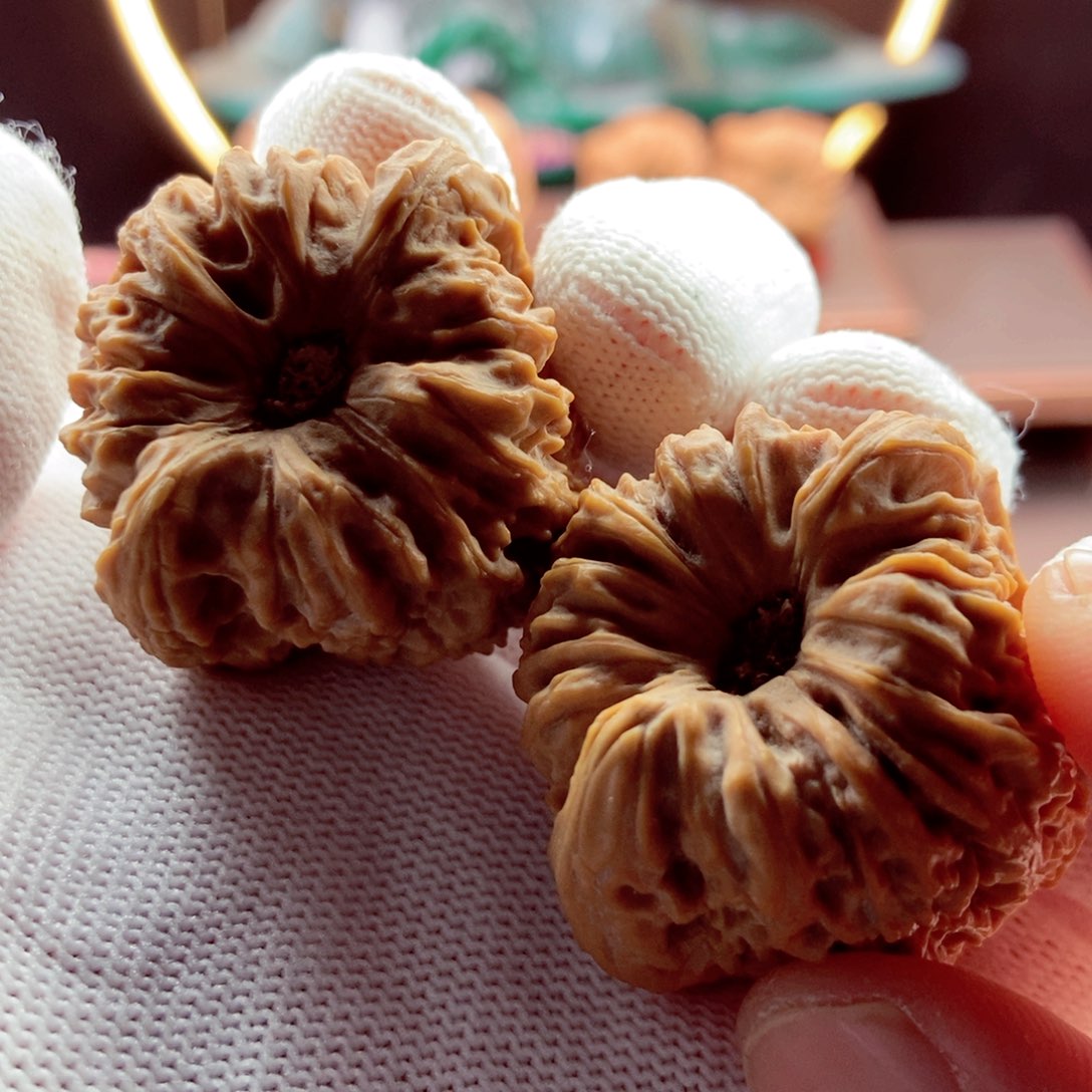 文玩核桃把件拉丝高炮大深奥37.1