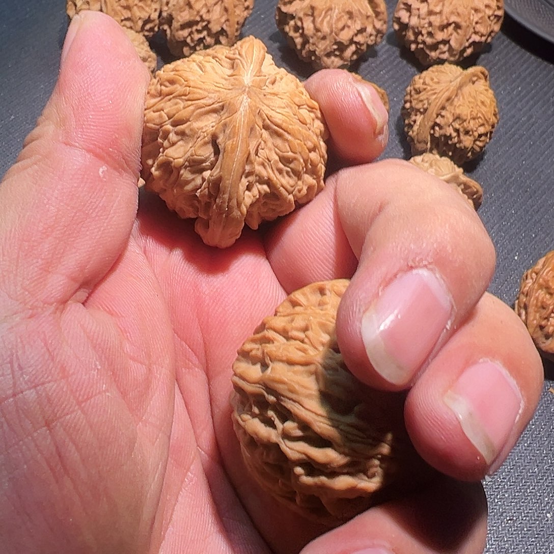 R***l啊啊啊啊啊啊啊啊啊