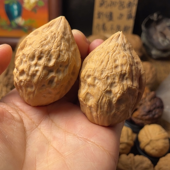 豆***精云南野生铁核桃编号147