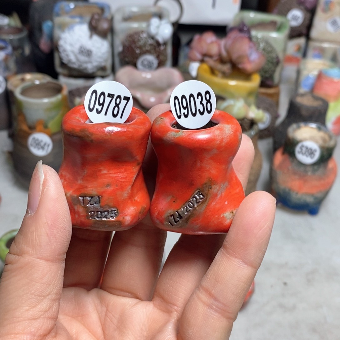 语**然拍5送一个小礼物