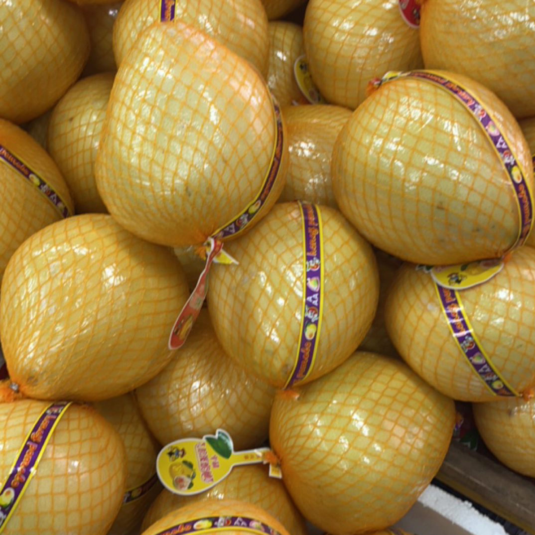 福建白心柚贵州省