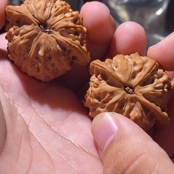 奇***果文玩核桃吊坠40全品金牛