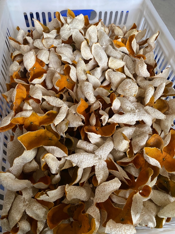 礼乐圈枝冬后大红