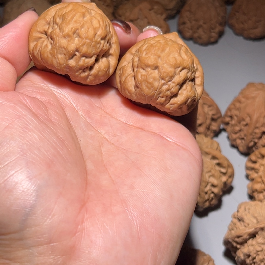 木质类沽蟾36加全品