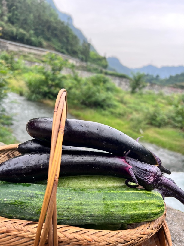 农场果蔬。  专选