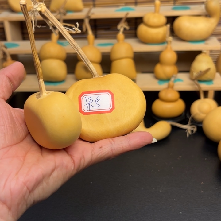 呆*葫芦葫芦葫芦葫芦葫芦葫芦