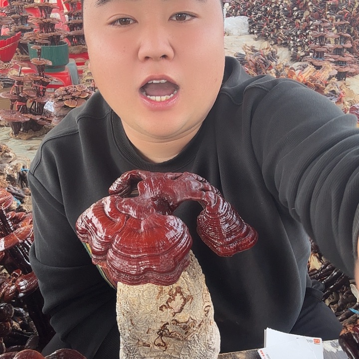 无花朵本****你灵芝花开了